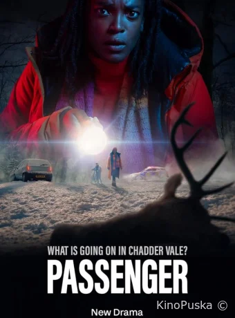 постер к Смотреть сериал Пассажир / Passenger 2024 онлайн 2 сезон 7 серия